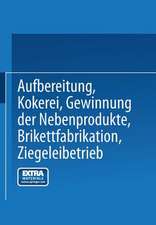 Aufbereitung, Kokerei, Gewinnung der Nebenprodukte, Brikettfabrikation, Ziegeleibetrieb