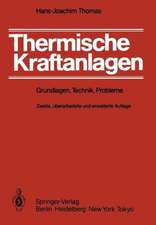 Thermische Kraftanlagen: Grundlagen, Technik, Probleme