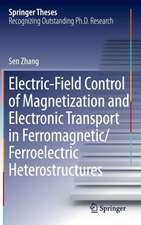 Electric-Field Control of Magnetization and Electronic Transport in Ferromagnetic/Ferroelectric Heterostructures