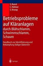 Betriebsprobleme auf Kläranlagen durch Blähschlamm, Schwimmschlamm, Schaum: Handbuch zur Identifizierung und Bekämpfung fädiger Bakterien