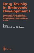 Drug Toxicity in Embryonic Development I: Advances in Understanding Mechanisms of Birth Defects: Morphogenesis and Processes at Risk