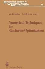 Numerical Techniques for Stochastic Optimization