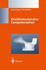 Dreidimensionales Computersehen: Gewinnung und Analyse von Tiefenbildern