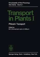 Transport in Plants I: Phloem Transport