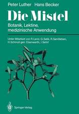 Die Mistel: Botanik, Lektine, medizinische Anwendung