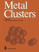 Metal Clusters: Proceedings of an International Symposium, Heidelberg, April 7–11, 1986