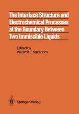 The Interface Structure and Electrochemical Processes at the Boundary Between Two Immiscible Liquids