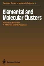 Elemental and Molecular Clusters: Proceedings of the 13th International School, Erice, Italy, July 1–15, 1987