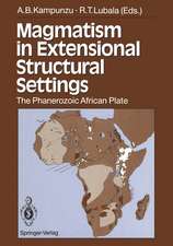 Magmatism in Extensional Structural Settings: The Phanerozoic African Plate