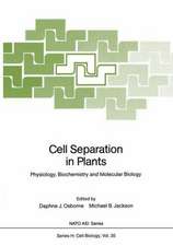 Cell Separation in Plants