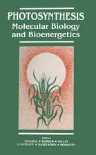 Photosynthesis: Molecular Biology and Bioenergetics