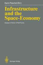 Infrastructure and the Space-Economy: Essays in Honor of Rolf Funck