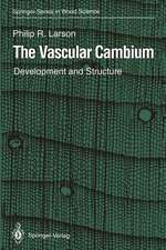 The Vascular Cambium: Development and Structure