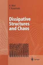 Dissipative Structures and Chaos