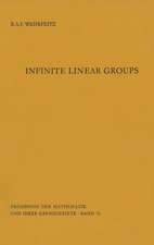 Infinite Linear Groups: An Account of the Group-theoretic Properties of Infinite Groups of Matrices