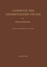 Lehrbuch der Theoretischen Physik: Erster Band Physik der Vorgänge Bewegung · Elektrizität · Licht · Wärme