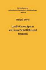 Locally Convex Spaces and Linear Partial Differential Equations