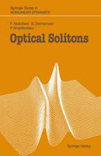 Optical Solitons