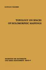 Topology on Spaces of Holomorphic Mappings