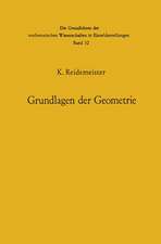 Vorlesungen über Grundlagen der Geometrie