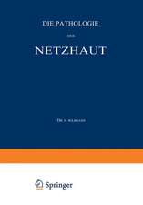 Die Pathologie der Netzhaut: Ein Handbuch für Augen- und Nervenärzte