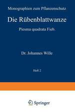 Die Rübenblattwanze: Piesma quadrata Fieb