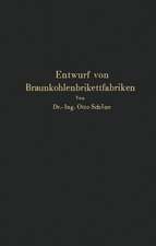 Grundlagen für den Entwurf von Braunkohlenbrikettfabriken und Möglichkeiten zur Verbesserung ihrer Energieerzeugung, Wärmewirtschaft und Leistungsfähigkeit