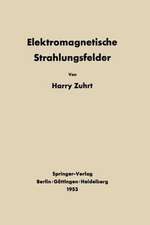 Elektromagnetische Strahlungsfelder: Eine Einführung in die Theorie der Strahlungsfelder in dispersionsfreien Medien