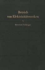 Betrieb von Elektrizitätswerken