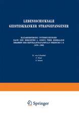 Lebensschicksale Geisteskranker Strafgefangener: Katamnestische Untersuchungen Nach den Berichten L. Kirn’s Über Ehemalige Insassen der Zentralstrafanstalt Freiburg I. B. (1879–1886)