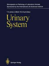 Urinary System