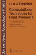 Fletcher, C: Computational Techniques for Fluid Dynamics
