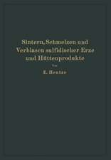 Sintern, Schmelzen und Verblasen sulfidischer Erze und Hüttenprodukte: Die unmittelbare Verhüttung sulfidischer Erze und Hüttenprodukte sowie Richtlinien für Bau und Betrieb der erforderlichen Agglomerationsanlagen Schachtöfen und Konvertoren