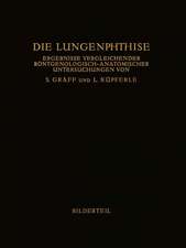 Die Lungenphthise