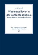 Wissensspillover in der Wissensökonomie