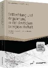 Regulierung in der deutschen Energiewirtschaft. Band I Netzwirtschaft