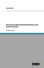 Theorienvergleich Helmuth Plessner und Talcott Parsons