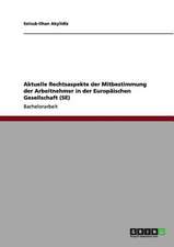 Aktuelle Rechtsaspekte der Mitbestimmung der Arbeitnehmer in der Europäischen Gesellschaft (SE)