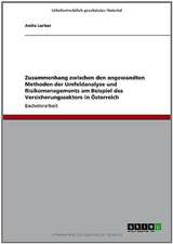 Zusammenhang zwischen den angewandten Methoden der Umfeldanalyse und Risikomanagements am Beispiel des Versicherungssektors in Österreich