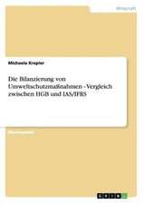 Die Bilanzierung von Umweltschutzmaßnahmen - Vergleich zwischen HGB und IAS/IFRS