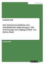 Eine fachwissenschaftliche und fachdidaktische Aufbereitung zu "Die Verwirrungen des Zöglings Törleß" von Robert Musil