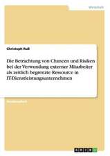 Die Betrachtung von Chancen und Risiken bei der Verwendung externer Mitarbeiter als zeitlich begrenzte Ressource in IT-Dienstleistungsunternehmen