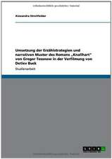 Umsetzung der Erzählstrategien und narrativen Muster des Romans 