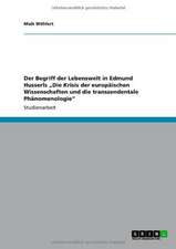 Der Begriff der Lebenswelt in Edmund Husserls "Die Krisis der europäischen Wissenschaften und die transzendentale Phänomenologie"