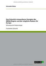 Das Potential erneuerbarer Energien der MENA-Region und der mögliche Nutzen für Europa