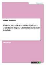 Wohnen und Arbeiten im Dreiländereck (Maas-Rhein-Region)-Grenzüberschreitende Mobilität