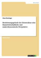 Bestimmungsgründe der Zinsstruktur: eine finanzwirtschaftliche und makroökonomische Perspektive