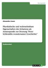 Physikalische und wahrnehmbare Eigenschaften des Schattens als Ansatzspunkt zur Deutung 