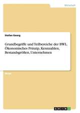 Grundbegriffe und Teilbereiche der BWL. Ökonomisches Prinzip, Kennzahlen, Bestandsgrößen, Unternehmen