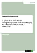 Möglichkeiten und Grenzen sozialpädagogischen Handelns im Umgang mit irregulärer Einwanderung in Deutschland